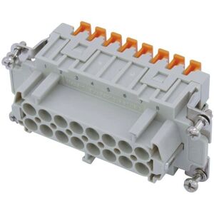 ILME CSHF 16 - Inserto eléctrico de 16 pines - Plata - Conector industrial ILME CSHF 16 - Inserto eléctrico de 16 pines - Plata - Conector industrial