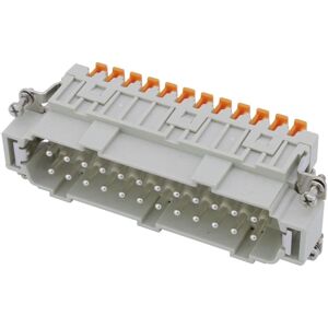 ILME CSHM24 Connecteur Électrique Argenté - Connexion Rapide 24 broches - Publicité ILME CSHM24 Connecteur Électrique Argenté - Connexion Rapide 24 broches - Publicité