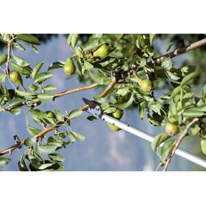 Stocker Art. 504 - Sécateur à manche fixe - 180cm - Ø 10mm - Tête ajustable - Publicité Stocker Art. 504 - Sécateur à manche fixe - 180cm - Ø 10mm - Tête ajustable - Publicité