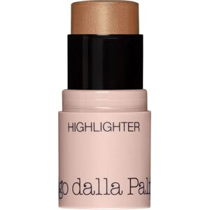 Diego dalla Palma All In One Highlighter - Brązowy - Twarz, Oczy, Usta - Rozświetlacz Diego dalla Palma All In One Highlighter - Brązowy - Twarz, Oczy, Usta - Rozświetlacz