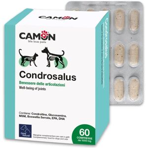 Camon Empreintes Naturelles Condrosalus pour Chiens 60 Comprimés - Complément Articulations - Publicité Camon Empreintes Naturelles Condrosalus pour Chiens 60 Comprimés - Complément Articulations - Publicité