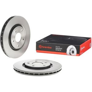 Brembo Model Coated Disc Line - Brake Disc Brembo Model Coated Disc Line - Brake Disc