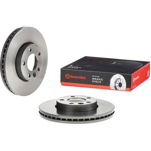 Brembo päällystetty jarrulevy - Ventilaatio, Korkea hiilipitoisuus - VW T5/T6, Multivan, Touareg Brembo päällystetty jarrulevy - Ventilaatio, Korkea hiilipitoisuus - VW T5/T6, Multivan, Touareg