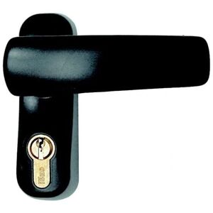Maniglia esterna Iseo con cilindro Yale - Compatibile con maniglione antipanico Maniglia esterna Iseo con cilindro Yale - Compatibile con maniglione antipanico