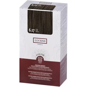 Tinta per capelli Villa Lodola - 6.17 Ice Tea - Senza Ammoniaca Tinta per capelli Villa Lodola - 6.17 Ice Tea - Senza Ammoniaca
