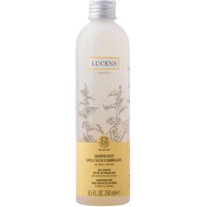 Shampoo Riparatore Lucens Umbria - Lavanda, Rosmarino - Cura dei Capelli Shampoo Riparatore Lucens Umbria - Lavanda, Rosmarino - Cura dei Capelli