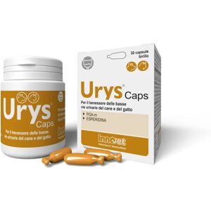 Innovet Italia Urys Caps - Supporto alle Vie Urinarie di Cani e Gatti Innovet Italia Urys Caps - Supporto alle Vie Urinarie di Cani e Gatti