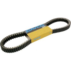 Dayco 8196K Voimansiirtokumi - Drive Belt Dayco 8196K Voimansiirtokumi - Drive Belt