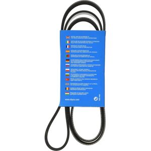 DAYCO 6PK1698 V-vetoketju DAYCO 6PK1698 V-vetoketju
