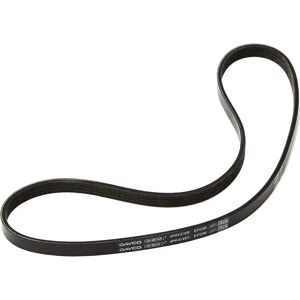 DAYCO Modèle 4PK922EE - Courroie trapézoïdale pour Ford, Fiat, Peugeot, Citroën - Publicité DAYCO Modèle 4PK922EE - Courroie trapézoïdale pour Ford, Fiat, Peugeot, Citroën - Publicité