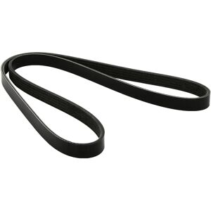DAYCO 5PK1240S V-hihna - V-hihna DAYCO 5PK1240S V-hihna - V-hihna