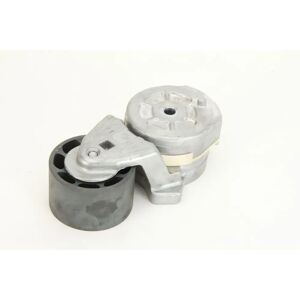 DAYCO APV2454 Rihnapyörän jännitin - Rihnapyörän jännitin DAYCO APV2454 Rihnapyörän jännitin - Rihnapyörän jännitin