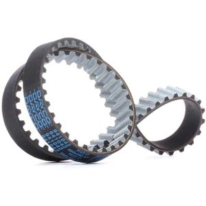 Dayco 941042 Timing Belt - Timing Belt Dayco 941042 Timing Belt - Timing Belt