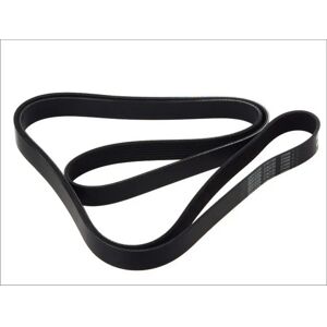 DAYCO 8PK2555HD V-vetokarhu - V-vetokarhu DAYCO 8PK2555HD V-vetokarhu - V-vetokarhu