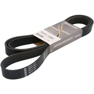 DAYCO 8PK2420HD V-hihna - V-hihna DAYCO 8PK2420HD V-hihna - V-hihna