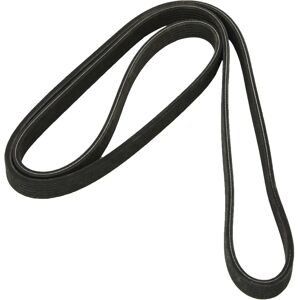 DAYCO 6DPK1817 Lisävarren hihna - Lisävarren hihna DAYCO 6DPK1817 Lisävarren hihna - Lisävarren hihna