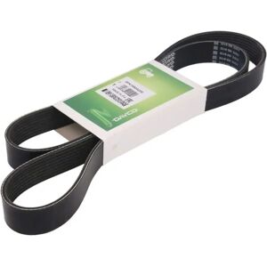 DAYCO 8PK1550AGRI Poly-V hihna - Viillotut hihna DAYCO 8PK1550AGRI Poly-V hihna - Viillotut hihna