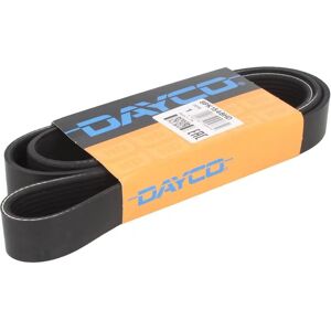 DAYCO Malli 8PK1548HD V-ribbed hihna - V-ribbed hihna DAYCO Malli 8PK1548HD V-ribbed hihna - V-ribbed hihna