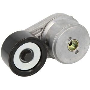 DAYCO APV2820 Rihnapidätin - Belt Tensioner DAYCO APV2820 Rihnapidätin - Belt Tensioner
