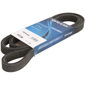DAYCO V-voima 1825mm Volvo varten - Poly-V, Multi-V, Lisävarusteet DAYCO V-voima 1825mm Volvo varten - Poly-V, Multi-V, Lisävarusteet