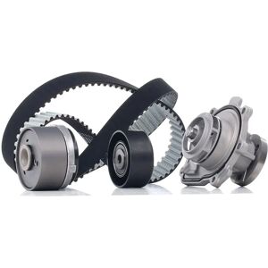 DAYCO KTBWP5620 Pompa acqua e kit distribuzione - Opel, Chevrolet DAYCO KTBWP5620 Pompa acqua e kit distribuzione - Opel, Chevrolet