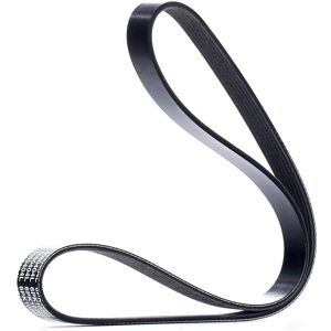 DAYCO Modell 6PK1026S Keilrippenriemen - Keilrippenriemen DAYCO Modell 6PK1026S Keilrippenriemen - Keilrippenriemen