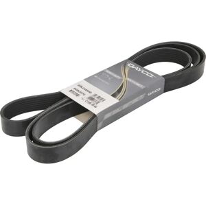 DAYCO 8PK2465HD V-remmi - V-remmi DAYCO 8PK2465HD V-remmi - V-remmi