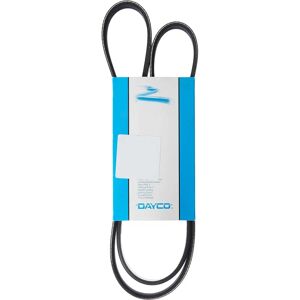 Dayco 5PK1220 V-ribbed belt - V-ribbed belt Dayco 5PK1220 V-ribbed belt - V-ribbed belt