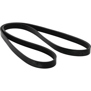 Dayco Modell 5PK1435 Keilrippenriemen Dayco Modell 5PK1435 Keilrippenriemen