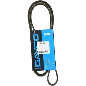 Dayco 5PK1790 Correa trapecial - Correa de accesorios Dayco 5PK1790 Correa trapecial - Correa de accesorios
