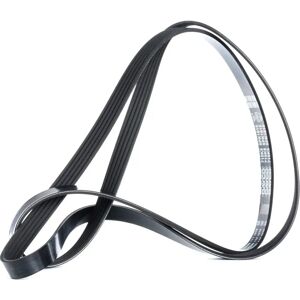 Dayco Model 5PK1815 - V-ribbed belt Dayco Model 5PK1815 - V-ribbed belt