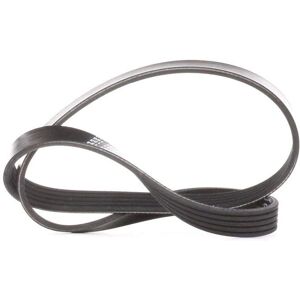 Dayco 5PK880 V-kiskoruuvihihna - V-kiskoruuvihihna Dayco 5PK880 V-kiskoruuvihihna - V-kiskoruuvihihna