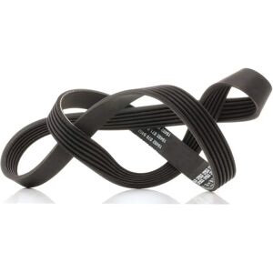 Dayco Model 6PK1150 V-ribbelriem Dayco Model 6PK1150 V-ribbelriem