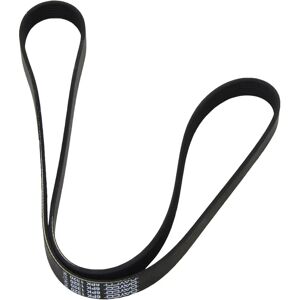 Dayco 6PK1320 V-ripustarengas - Vetopyörärengas Dayco 6PK1320 V-ripustarengas - Vetopyörärengas