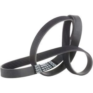 Dayco 6PK1388 Courroie V-ribbed - Courroie V-ribbed - Publicité Dayco 6PK1388 Courroie V-ribbed - Courroie V-ribbed - Publicité