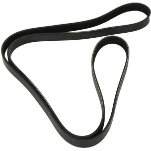 Dayco 6PK1855 Correa trapezoidal - Correa de accesorios Dayco 6PK1855 Correa trapezoidal - Correa de accesorios