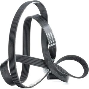 Dayco Malli 6PK1890 V-vytevä hihna - V-vytevä hihna Dayco Malli 6PK1890 V-vytevä hihna - V-vytevä hihna