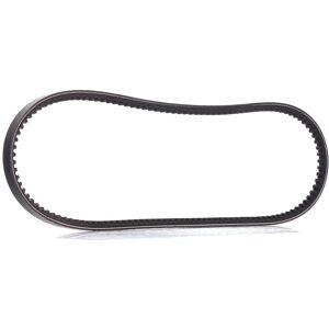 Dayco 10A0925C V-snaar - V-snaar Dayco 10A0925C V-snaar - V-snaar