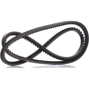 DAYCO 10A1300C V-remmi - V-remmi DAYCO 10A1300C V-remmi - V-remmi