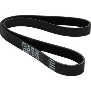 DAYCO Malli 6PK1025 Poly-V V-remmi - V-remmi DAYCO Malli 6PK1025 Poly-V V-remmi - V-remmi