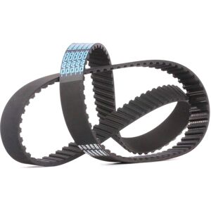 DAYCO 94605 ajoituskehä - ajoituskehä DAYCO 94605 ajoituskehä - ajoituskehä