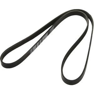 Dayco Model 5PK1200 - V-ribbelriem Dayco Model 5PK1200 - V-ribbelriem