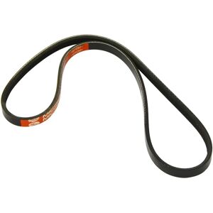Dayco Model 4PK812 V-ribbelriem - V-ribbelriem Dayco Model 4PK812 V-ribbelriem - V-ribbelriem