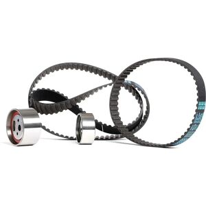 DAYCO KTB118 Kit de distribución - Para Peugeot J5 y Citroën C25 DAYCO KTB118 Kit de distribución - Para Peugeot J5 y Citroën C25