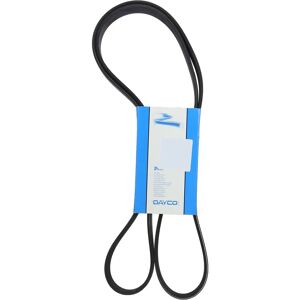 Dayco Malli 6PK1835 V-uraluuri - Monivärinen hihna Dayco Malli 6PK1835 V-uraluuri - Monivärinen hihna