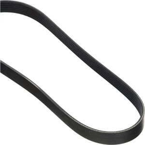 Dayco 6PK800 Courroie trapézoïdale - Courroie d'accessoire - Publicité Dayco 6PK800 Courroie trapézoïdale - Courroie d'accessoire - Publicité