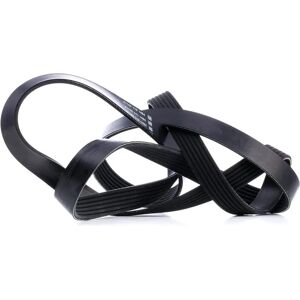 Dayco 6PK1936 Poly-V Belt for Ford, Land Rover, Jaguar, Infiniti, Mitsubishi, Toyota Dayco 6PK1936 Poly-V Belt for Ford, Land Rover, Jaguar, Infiniti, Mitsubishi, Toyota