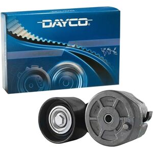 Dayco APV1048 Riemenspanner - Spannrolle - Langlebig & Einfach zu Installieren Dayco APV1048 Riemenspanner - Spannrolle - Langlebig & Einfach zu Installieren