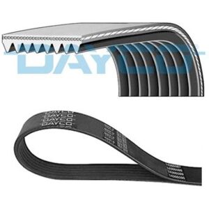 Dayco 8PK2055HD V-hihna - Ajoneuvovarusteiden hihna Dayco 8PK2055HD V-hihna - Ajoneuvovarusteiden hihna