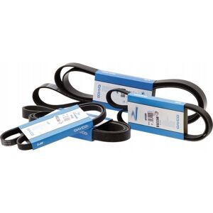 DAYCO 8PK2215HD Lisävarren hihna - Lisävarren hihna DAYCO 8PK2215HD Lisävarren hihna - Lisävarren hihna